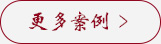 更多案例