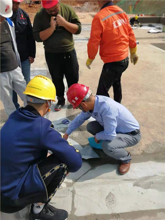 实地检查研究问题