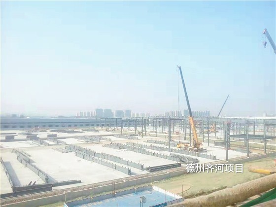 明珠监理京东齐河项目部