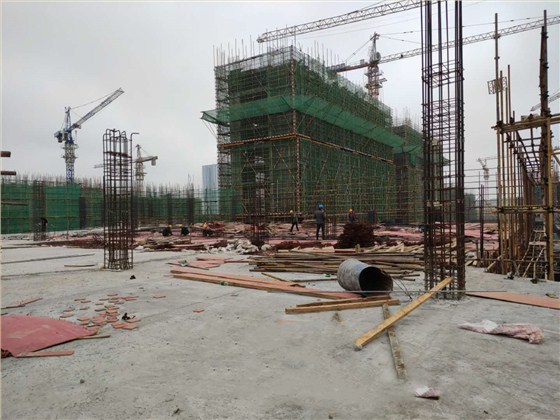 场区风貌 场区风貌