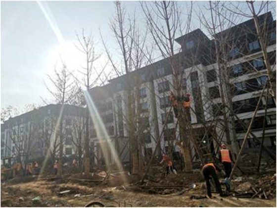 明珠监理工程师们,迎着太阳,早早来到工地开始工作 明珠监理工程师们,迎着太阳,早早来到工地开始工作