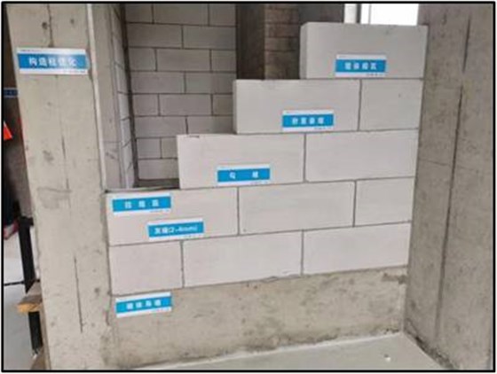 样板领路示范 样板领路示范