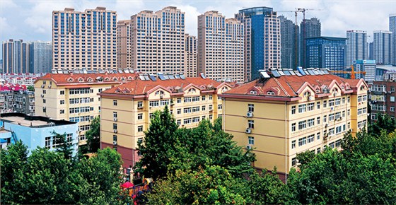 明珠项目管理机构