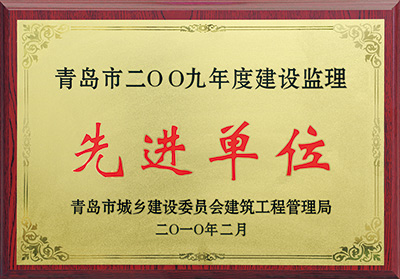 2009年市先进单位