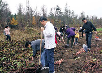 明珠职员参加习劳