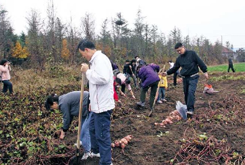 明珠职员参加习劳