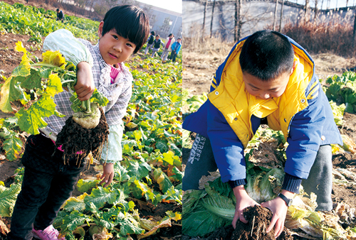 明珠国学 甜美童年 劳作课
