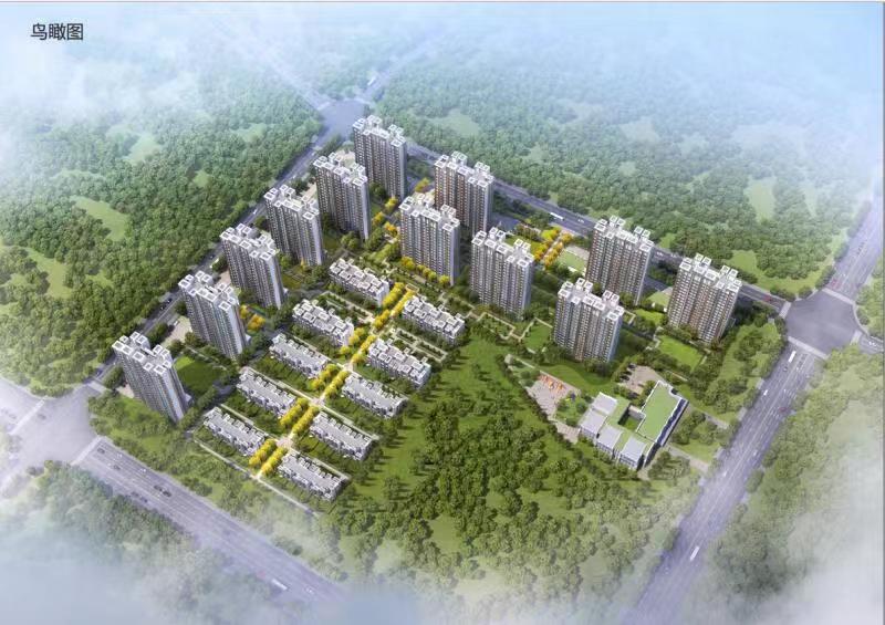 青岛实地蔷薇国际