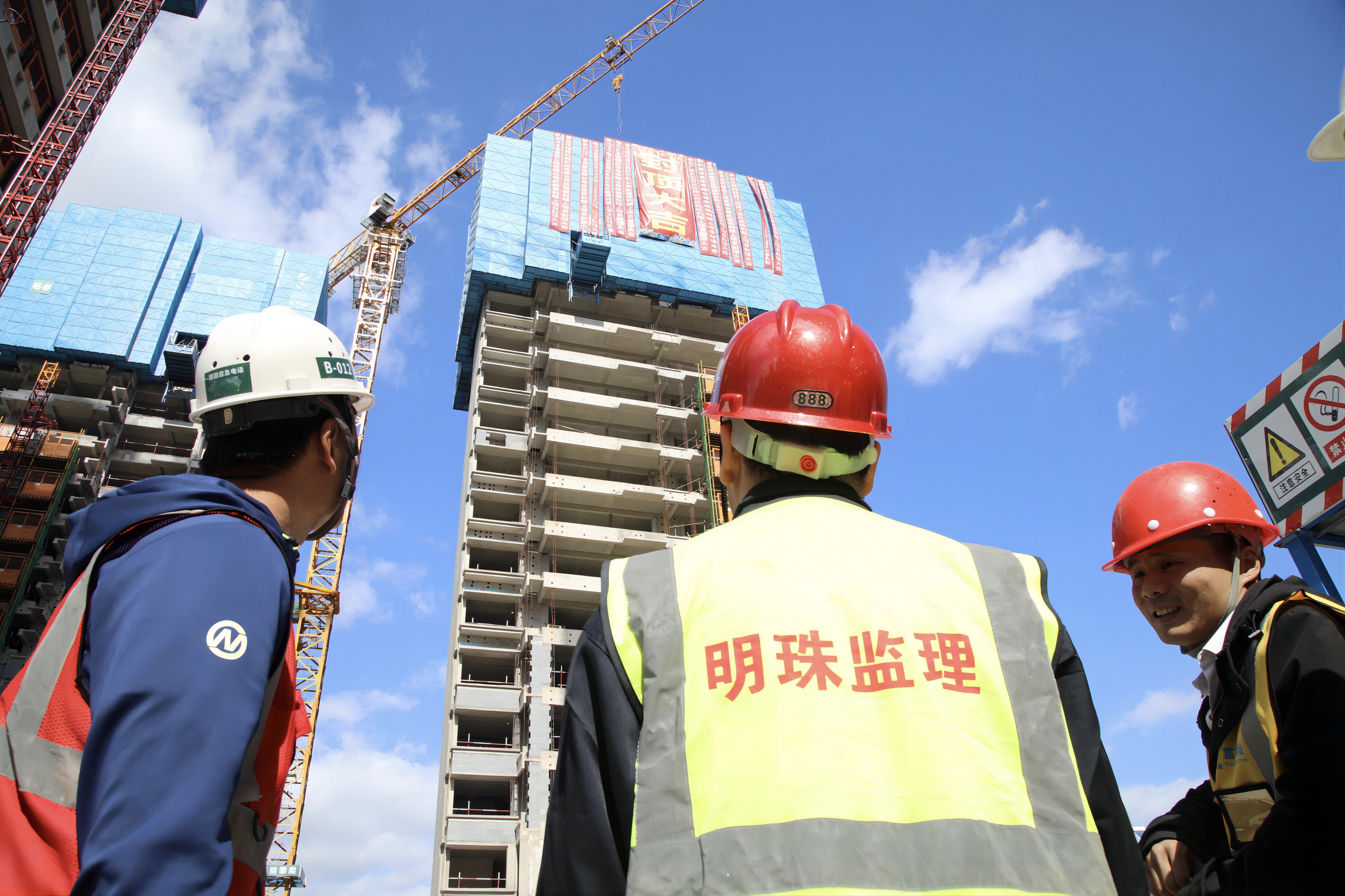 明珠监理｜创新催化：监理的技术进化论