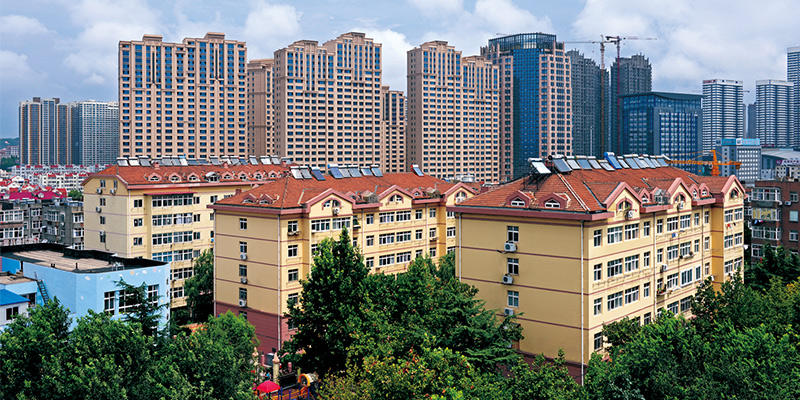 委托项目管理(PMA)模式 委托项目管理(PMA)模式