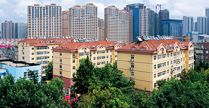 明珠项目管理机构